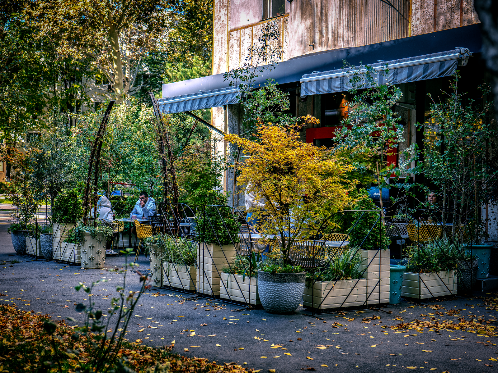 Studio pe Mamaia 70 — terasă exterioară, ghivece mari, plante decorative — Miss Baker Constanța